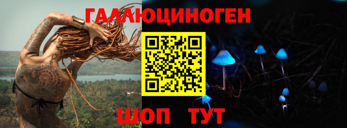 Клинцы  что такое наркотик  Вход с VPN  Псилоцибиновые грибы GOLDEN TEACHER 